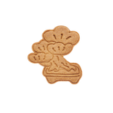 No.0019盆景(黑松)