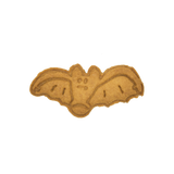 No.0072 二羽のコウモリ