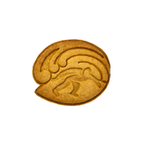 No.0203 サーフィン