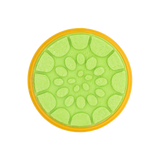 No.0333 トリニダード・トバゴ共和国 スティールパン