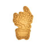 N ° 0377 Plum de bonsaï