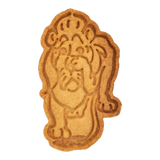 No.0505 León cobarde