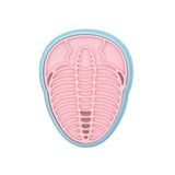 No.0648 FOSSILS Insecto cuadrado