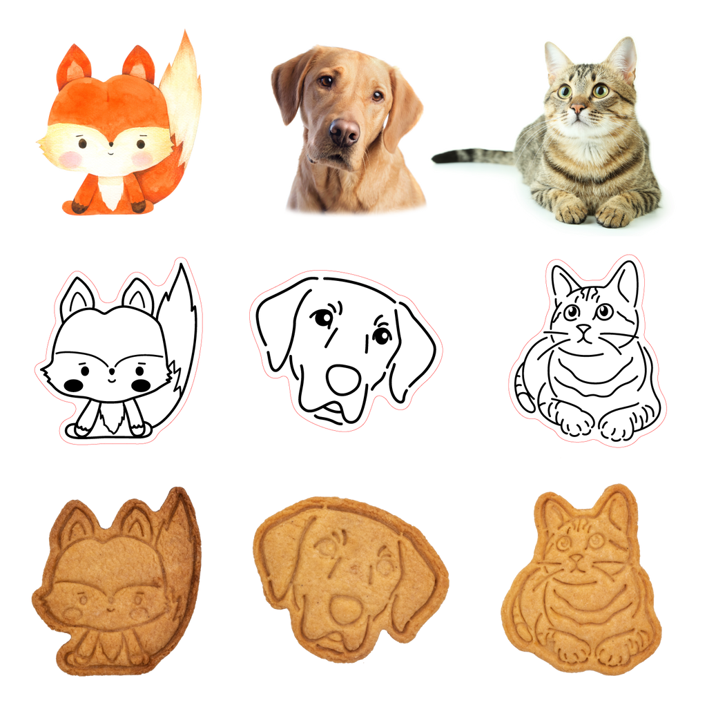 01_1024x.png?v=1607762703