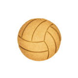 Nr.0335 Volleyball