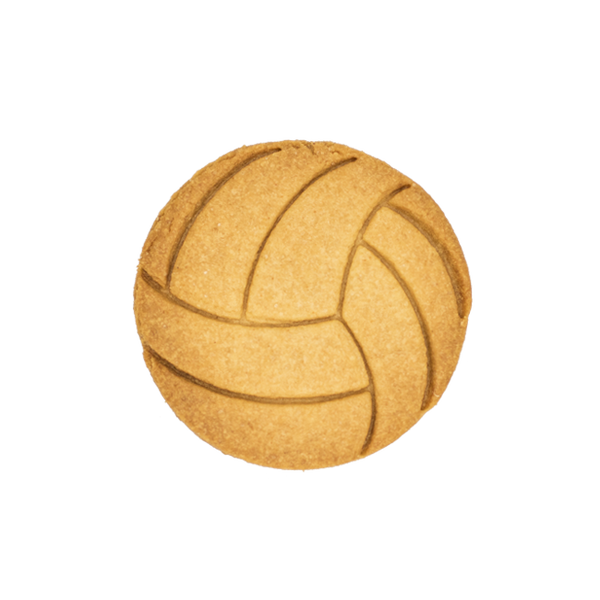 No.0335 Volleyball