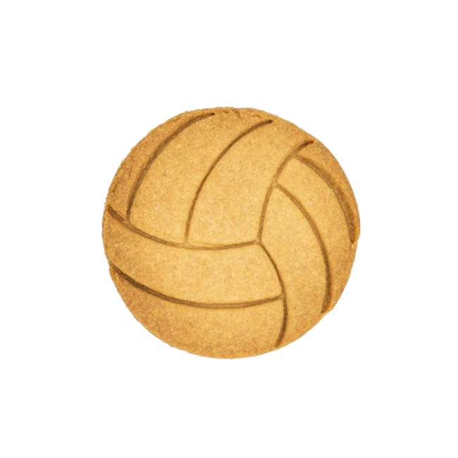 No.0335 Volleyball