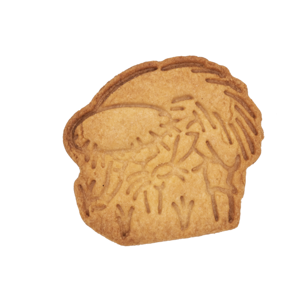 0536__c_6d406a7b-1826-4ebd-