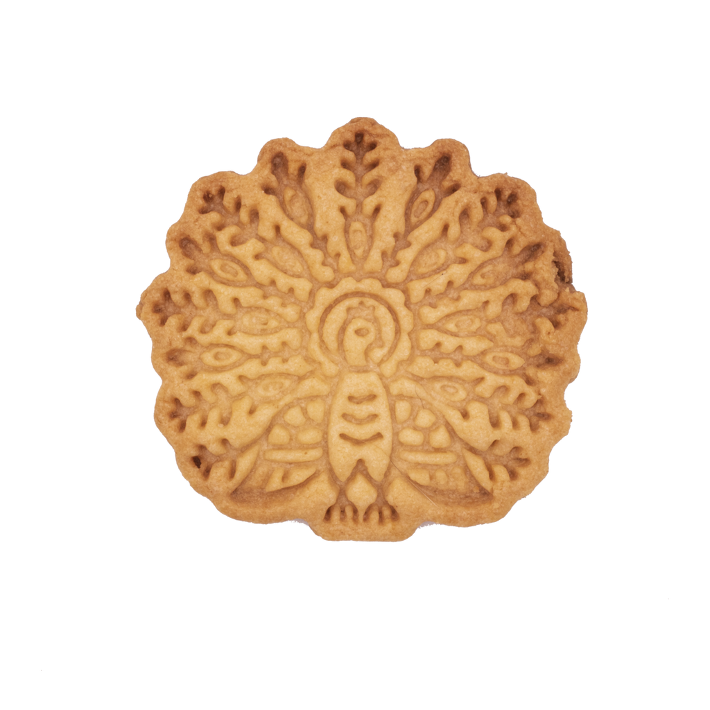 0538__-c_1024x.png?v=1602217920