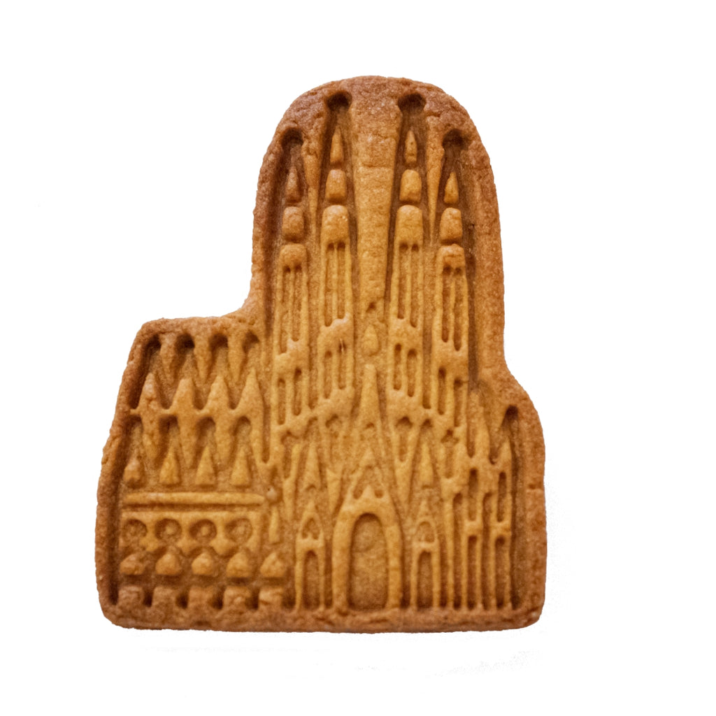 C_JPG_566bb819-261b-4e7a-a017-