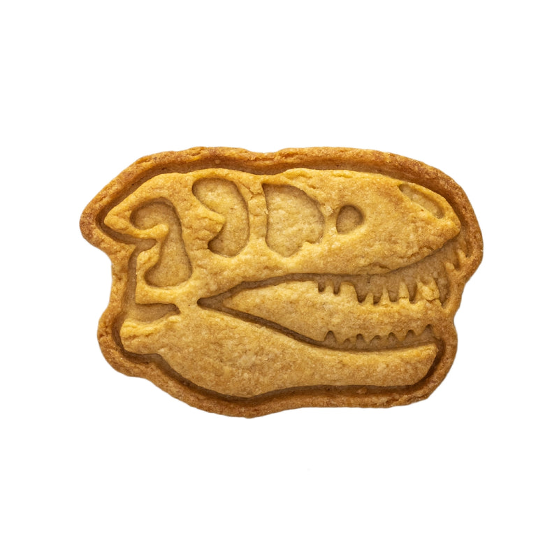 No.0650　化石　ティラノサウルス