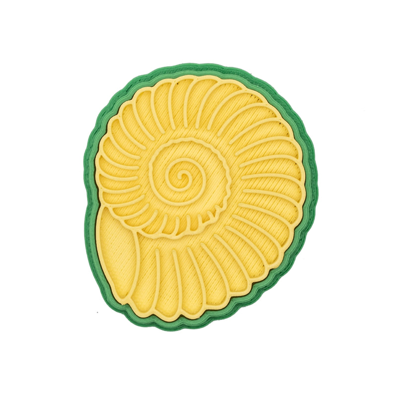 No.0649 fossil ammonite